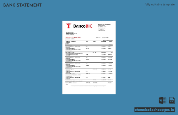 Beispiel eines Kontoauszugs der Angola Banco BIC (Vorschau)